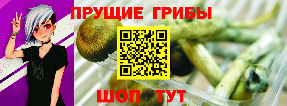 Псилоцибиновые грибы мухоморы Волжск